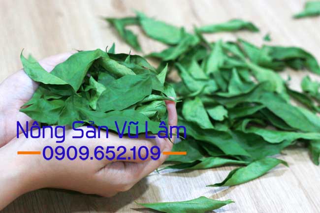 Lá mắc mật sau khi được lặt ra khỏi cọng và để cho dẻo lá.