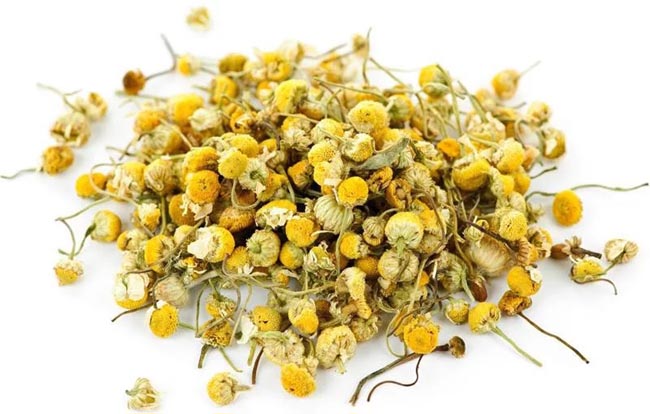 uống trà hoa cúc như thế nào cho đúng cách