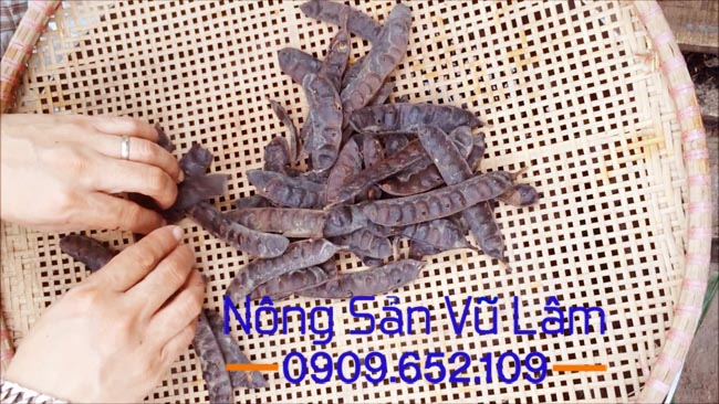quả bồ kết