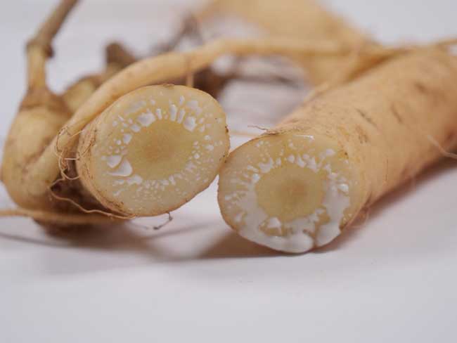 tác dụng của đẳng sâm