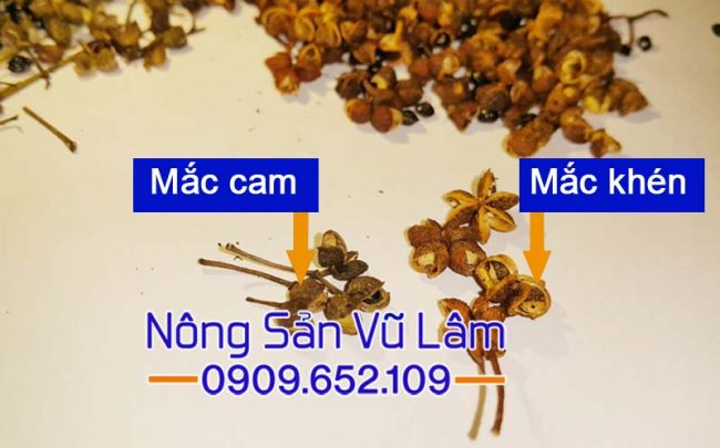 Mắc khén và mắc cam
