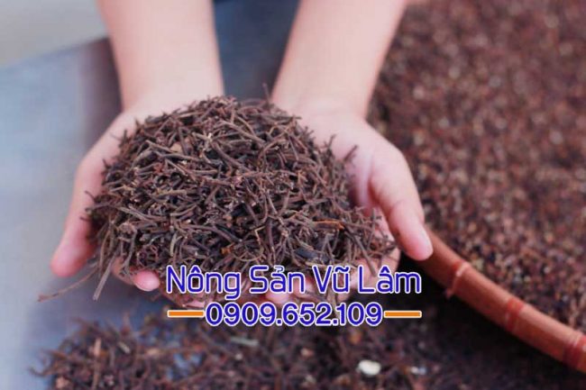 Cành mắc khén được lựa sạch trước khi mang đi đóng gói