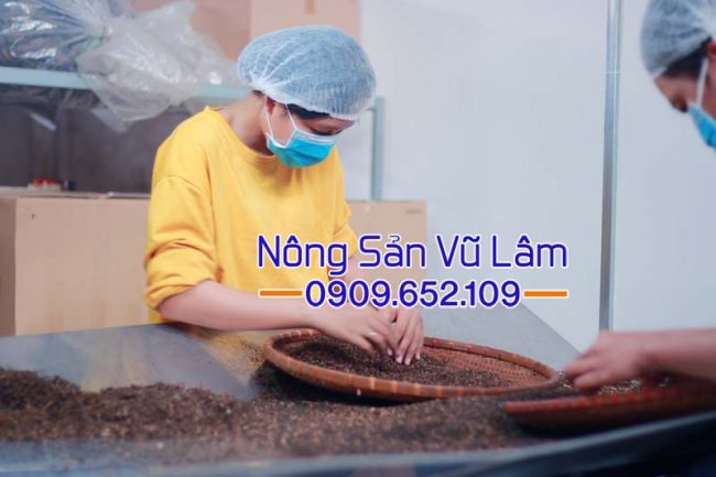 Hạt mắc khén được công nhân tiến hành sàng lựa